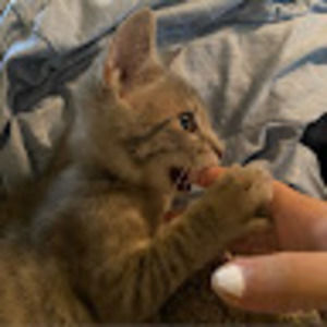 Meet your Posher, Madeline